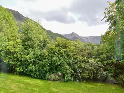 a group of trees in a field with mountains in the background at Trevene in Buttermere