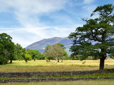 a field with a tree and mountains in the background at Field House Bothy - Uk12571 in Borrowdale Valley
