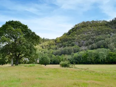 a field with a tree and a mountain at Field House Bothy - Uk12571 in Borrowdale Valley