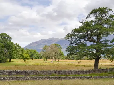 a tree in a field with mountains in the background at Field House Cottage - Uk12573 in Borrowdale Valley