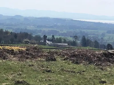 a field of grass with a building in the distance at Laundry Cottage in Dumfries