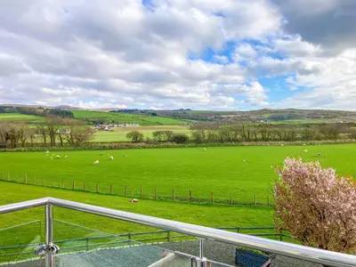 a large green field with sheep grazing in it at Stinchar View in Ballantrae