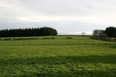 a large green field with horses in the distance at Bonshawbrae in Kirtlebridge