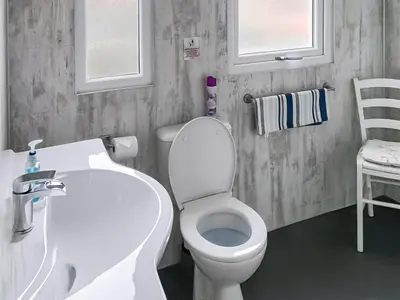 a bathroom with a white toilet and a sink at Wavecrest in Mainsriddle