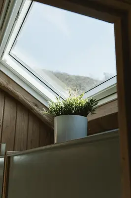 a window with a potted plant on a shelf at The Huts at Highside Farm in Keswick