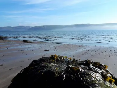 a beach with a pile of trash on the sand at Corsewall Arms Guest House in Stranraer