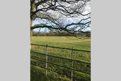 a tree in a field with a fence at Kezbah 1, 22 the square centre of Dalston village in Dalston