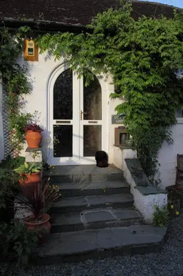 a cat sitting on the steps of a house at Lynton Lodge Studios in Keswick
