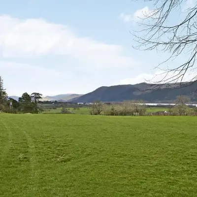 The Beeches