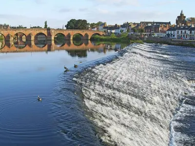 a group of ducks swimming in the water under a bridge at Burnside in Torthorwald