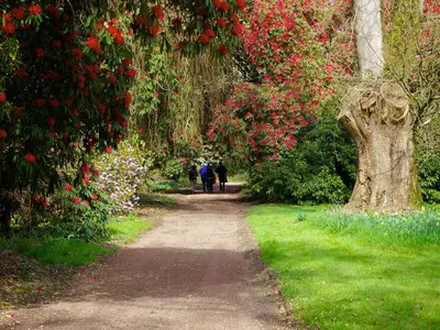 people walking down a path in a garden with flowers at Shore Cottage - Uk12524 in Garlieston
