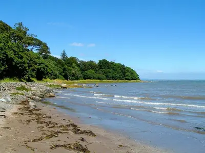 a beach with a bunch of trees and water at Shore Cottage - Uk12524 in Garlieston