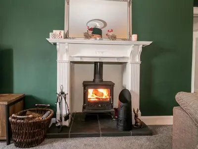a fireplace in a living room with a stove at Ivy Bank in Thornhill
