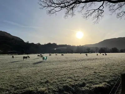 a group of animals in a field with the sun in the background at Marys Cottage, Grasmere, Dog Friendly, Hot Tub in Grasmere