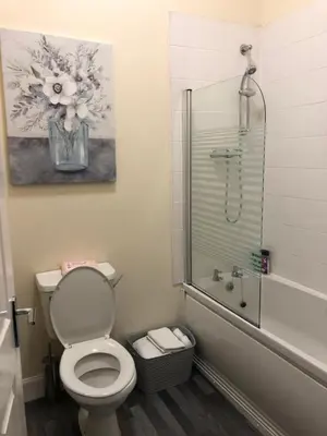 a bathroom with a toilet and a glass shower at The Station Apartment in Kilmarnock