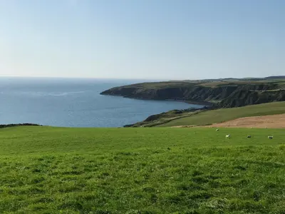 a field of green grass with a view of the ocean at Bunnahabhain 5 - Farm Stay - Stunning sea and rural views in Stranraer