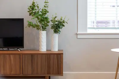 two white vases with plants on top of a tv at Seafield House - Donnini Apartments in Ayr