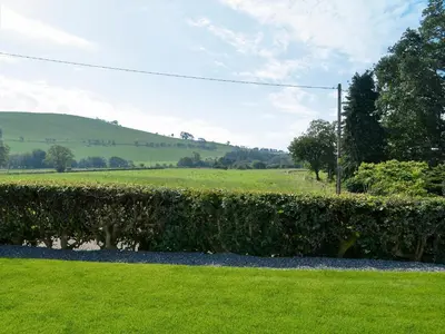 a hedge in front of a field of grass at Auchen Ladder in Amisfield Town