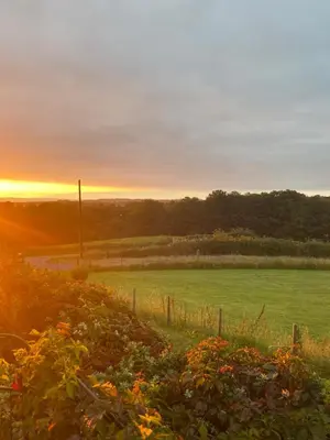 a green field with the sun setting in the background at Jacquie's B&B -Dumfries-Room with a view in Dumfries