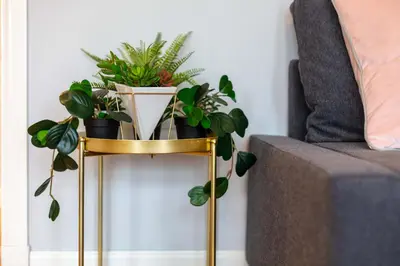 a side table with plants on it next to a couch at Millbrae Residence - Donnini Apartments in Ayr