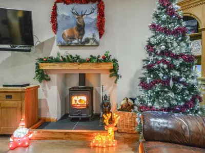 a living room with a christmas tree and a fireplace at Uplands in Dalbeattie