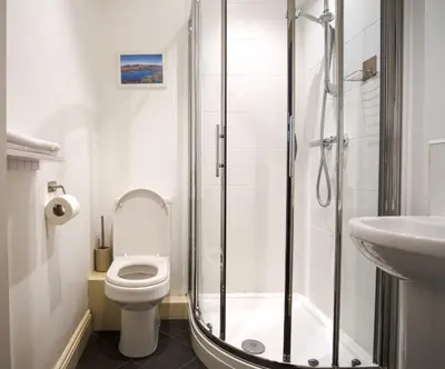a bathroom with a shower and a toilet and a sink at Borrowdale View in Keswick