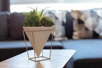a plant in a vase sitting on a table at Walker Suite No53 - Donnini Apartments in Kilmarnock