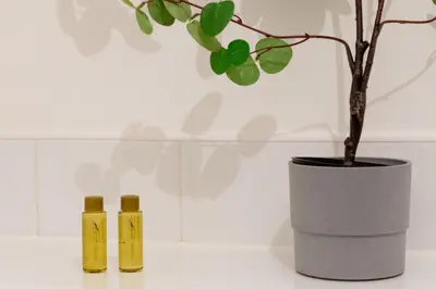 two bottles of essential oils next to a vase with a plant at Walker Suite No73 - Donnini Apartments in Kilmarnock