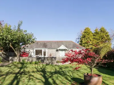 a house with a tree in the yard at Old Kiln Cottage in Dumfries