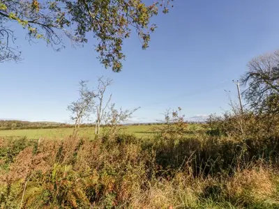 a field of grass with trees and a blue sky at Old Kiln Cottage in Dumfries