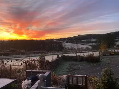 a dog laying on a bench at sunset at Shepherds Hut-hot tub hire-dog friendly-views in Dumfries