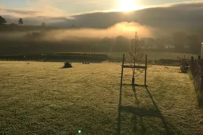 a tree in a field with the sun in the background at Shepherds Hut-hot tub hire-dog friendly-views in Dumfries