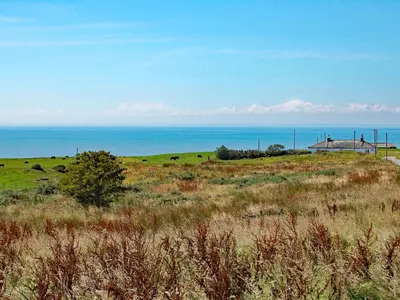 a field with cows in a field with the ocean at Kirklauchline Cottage in Portpatrick