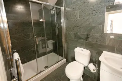 a bathroom with a shower and a toilet and a sink at The Old White Lion, Chapel Stile in Chapel Stile