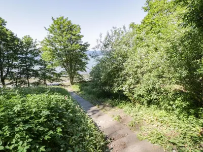 a path through the trees near the water at North Segganwell - Culzean Castle in Maybole