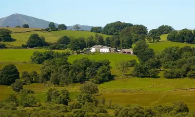 a house in the middle of a green field at Nest Barn in Keswick