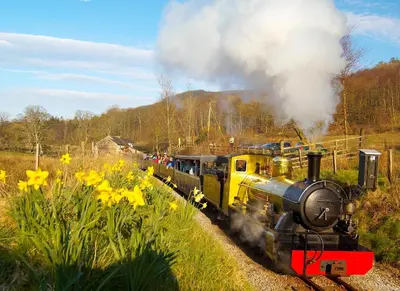 a train is traveling down the tracks with flowers at Bridge End Farm Cottages in Boot
