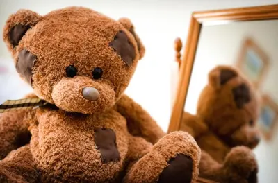 a teddy bear sitting in front of a mirror at Bridge End Farm Cottages in Boot