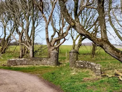 a dirt road through a field with trees at Fern Forest House- Uk31047 in Portpatrick