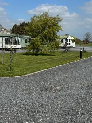 a road with houses and a tree on the side at Happydays Caravan 1 Newton Stewart in Bailliewhir