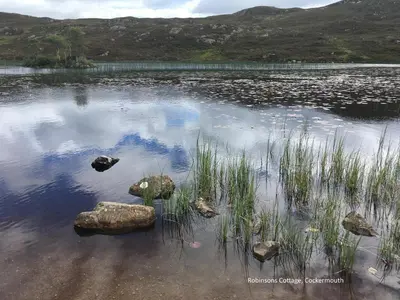 a lake with rocks and grass in the water at Robinsons Cottage, central and quiet in Cockermouth