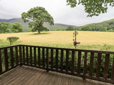 a porch with a view of a field and a tree at Squirrels Leap in Keswick
