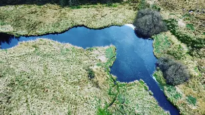 an aerial view of a river in a field at Maberry Cottage in Bargrennan