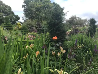 a garden filled with lots of plants and flowers at Historic converted byre in courtyard of 16C house in Caldbeck