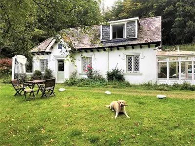 a dog laying in the grass in front of a house at Bar Hill Lodge in Gatehouse of Fleet
