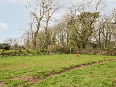a field with two chickens walking in the grass at Bramblewood Cottage in Crookdake