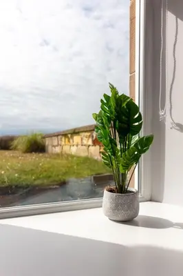 a potted plant sitting on a window sill at Shore View - Donnini Apartments in Prestwick
