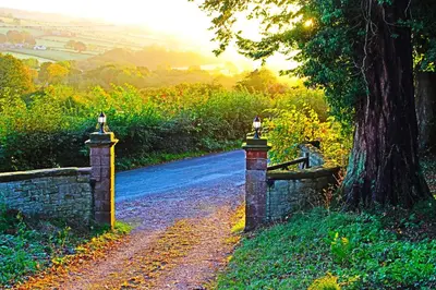a path with a stone fence and a tree at Woodlands Country House & Cottage in Ireby