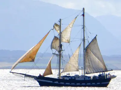 a boat with white sails in the water at Beachcombers in Dumfries