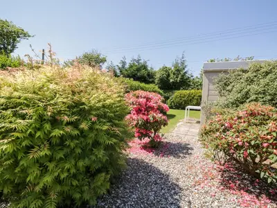 a garden with pink flowers and bushes at Pow-Wow Shore Cottage in Annan